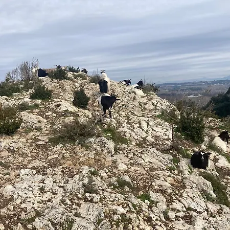 La Belle D'aurelie Avec Professionnel En Pleine Campagne Et Proche De Holiday home Roquemaure (Gard)