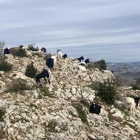 La Belle D'aurelie Avec Professionnel En Pleine Campagne Et Proche De Holiday home