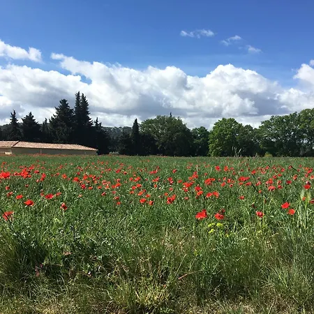 Casa vacanze La Belle D'aurelie Avec Professionnel En Pleine Campagne Et Proche De Roquemaure (Gard)